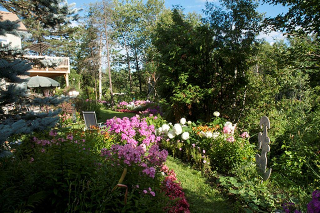 Gite Au Pied Du Courant De Gilbert Desjardins Mont-Laurier Exterior photo